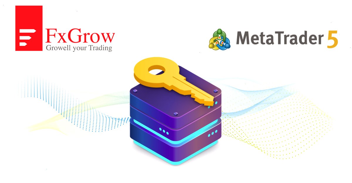 FxGrow Limited: “MetaTrader 5访问服务器主机服务拥有其他提供商无法比拟的优势”